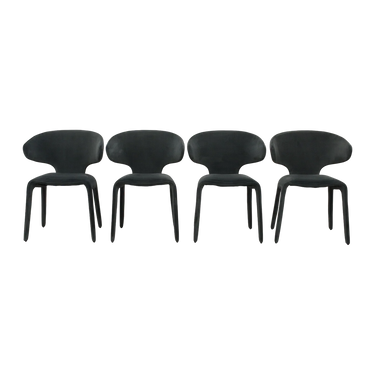 shop Nuevo Nuevo Bandi Dining Chairs online